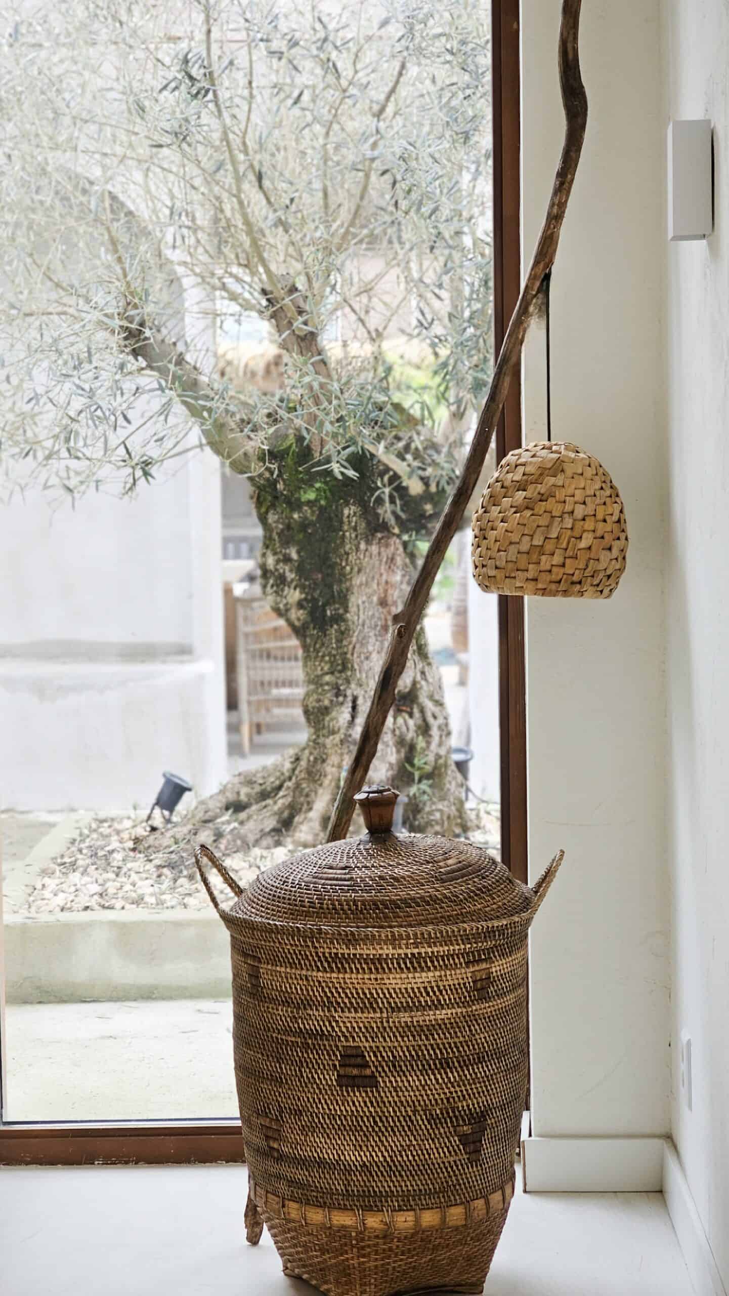 Las Medulas Banana Leaf Light Fixture - Unique Light Fixture