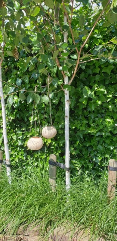 Cieza Pendant with Rope - Ceramic Lantern