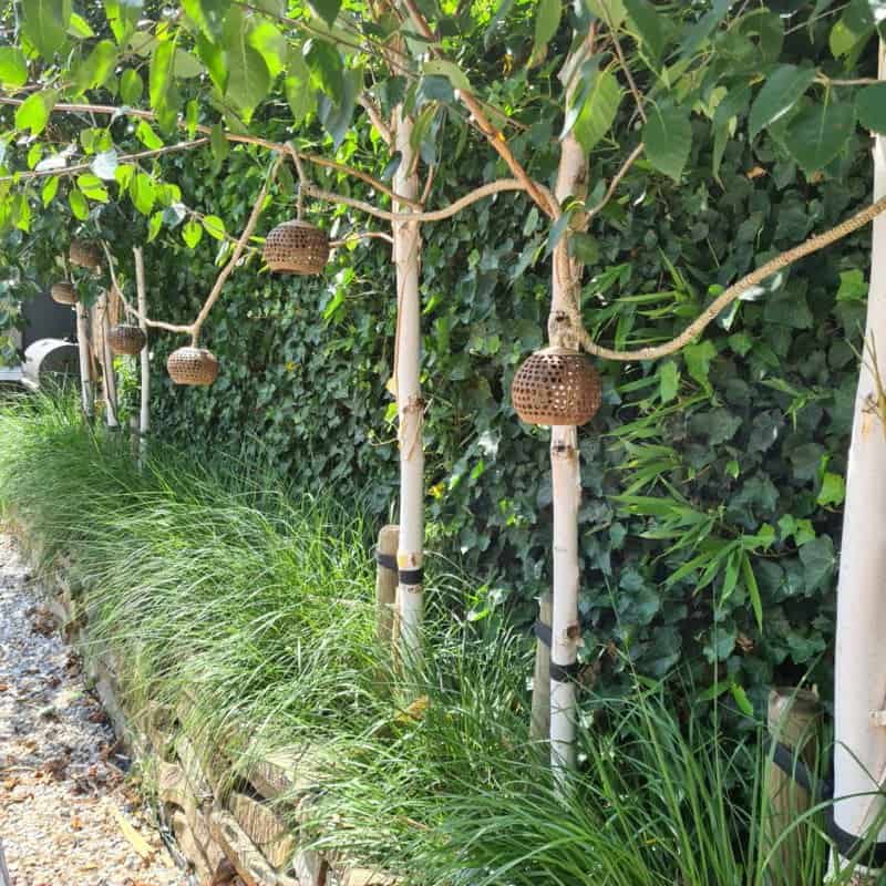 Almeria Spherical Light Decor - Unique Light String