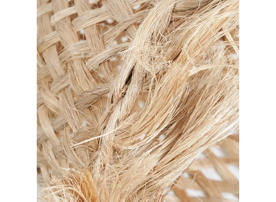 Almansa Jelly Fish Pendant - mesmerizing lighting fixture