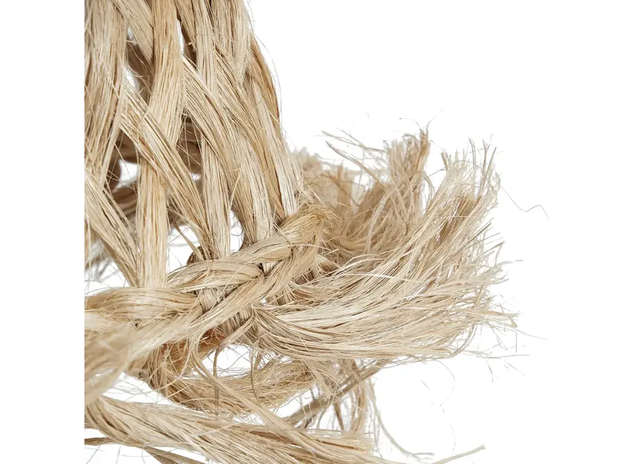 Almansa Jelly Fish Pendant - mesmerizing lighting fixture