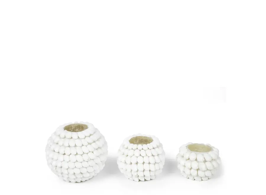 Ayamonte Seashell Luminary - Coastal Tealight Holder