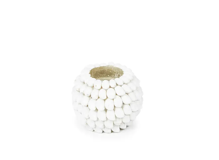 Ayamonte Seashell Luminary - Coastal Tealight Holder