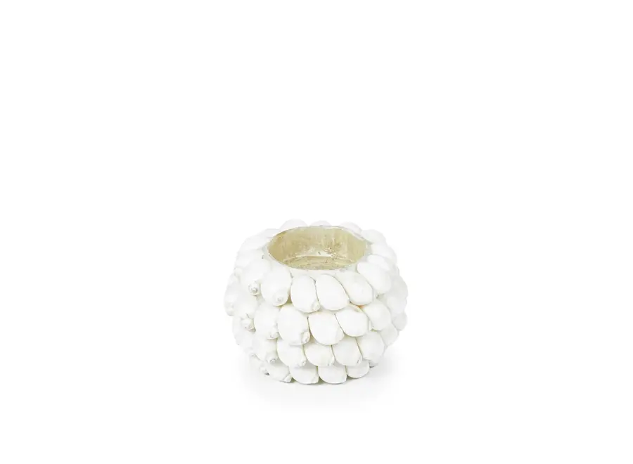 Ayamonte Seashell Luminary - Coastal Tealight Holder