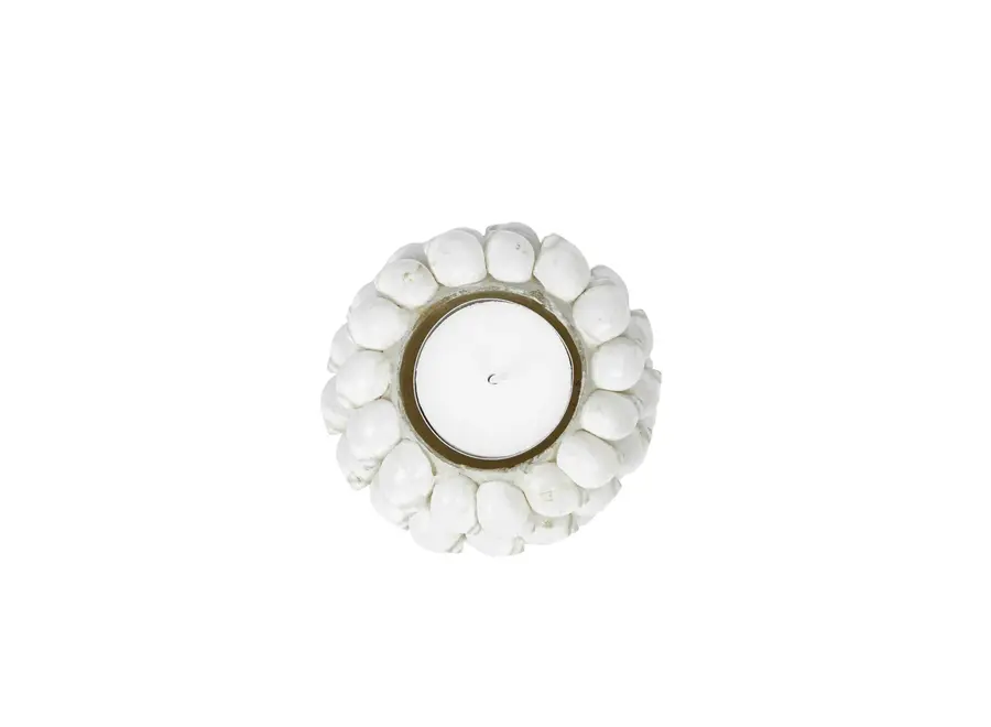 Ayamonte Seashell Luminary - Coastal Tealight Holder