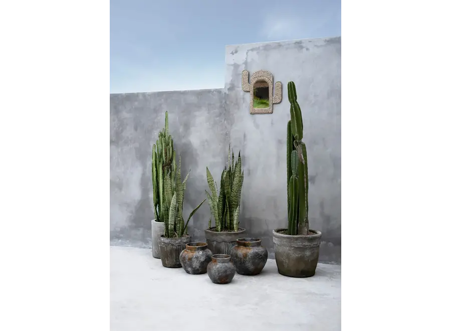 Cabo de Gata Cactus Mirror - Cowrie Shell Mirror