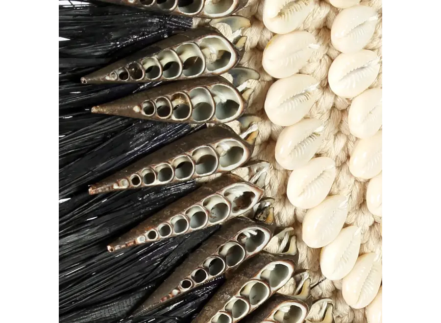 Cala Salada Shell Display - Raffia Display on Stand