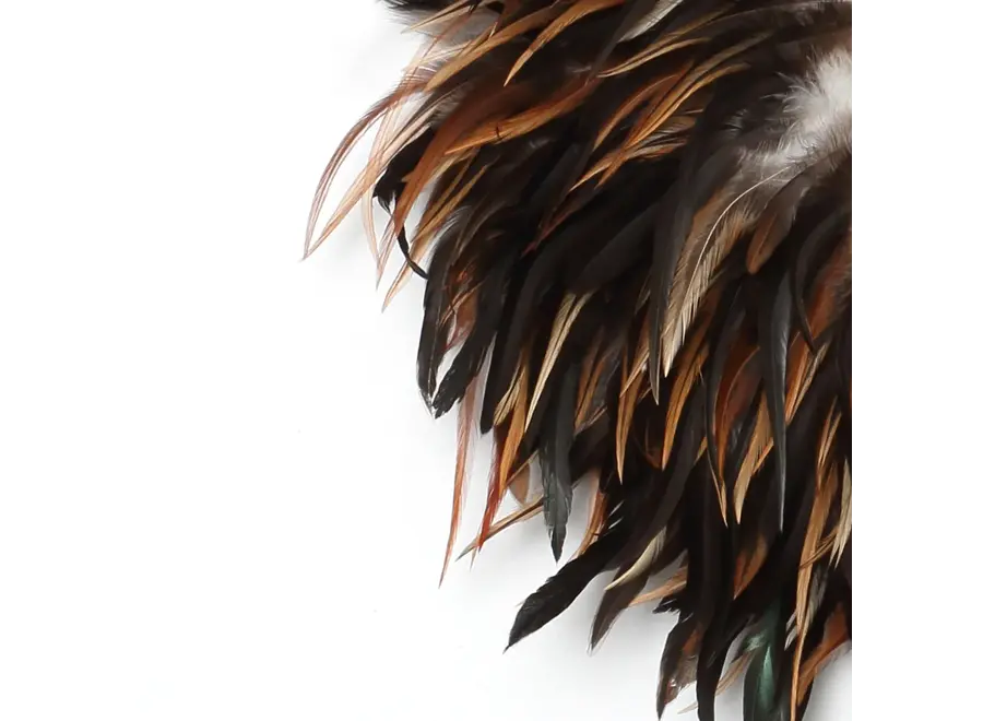 Cazorla Bohemian Display - Feather & Shell Decor