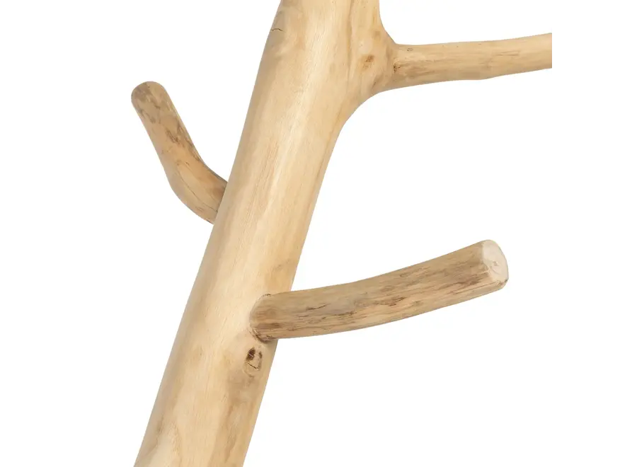 Don Benito Coat Hanger - Teak Root Coaster