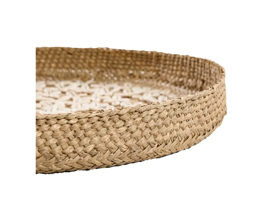 Costa Cowrie Plate - Shell Plate