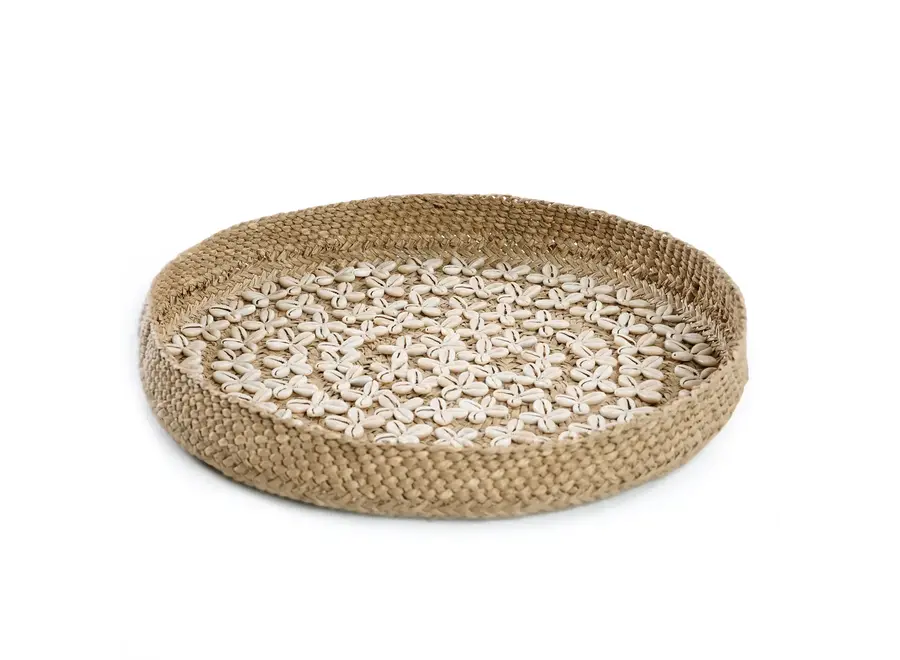 Costa Cowrie Plate - Shell Plate