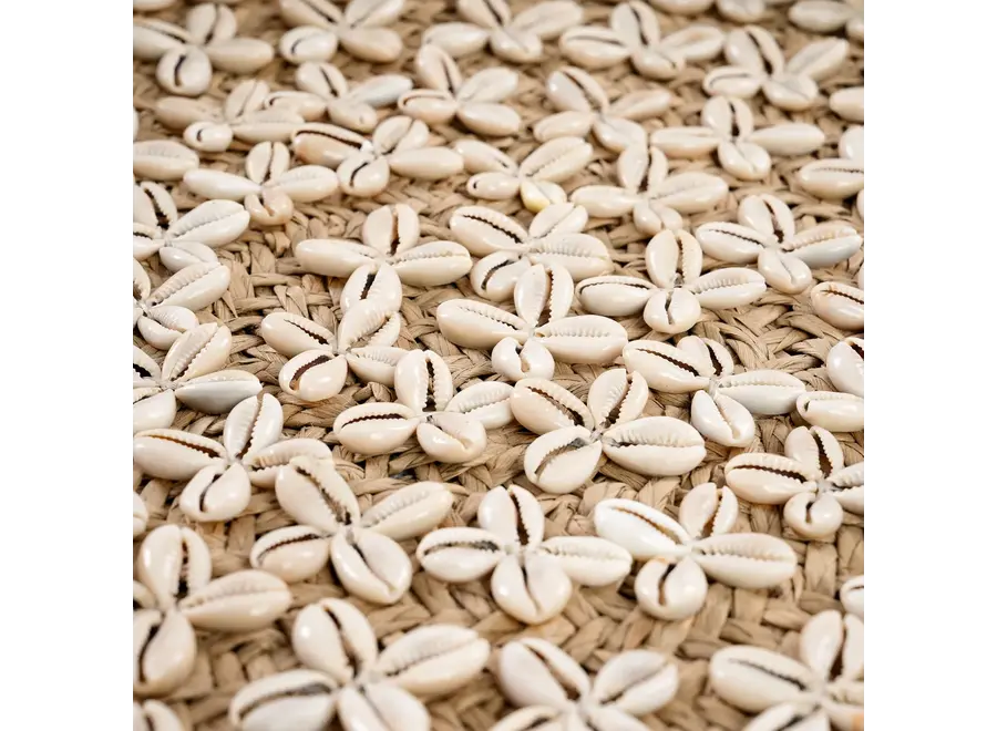 Costa Cowrie Plate - Shell Plate