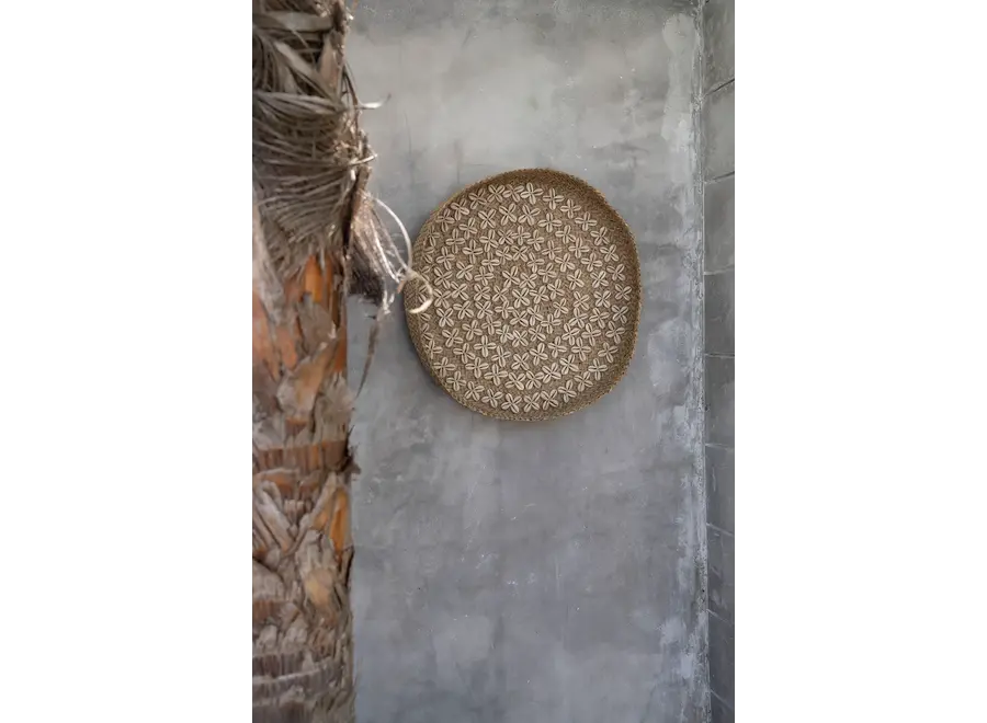 Costa Cowrie Plate - Shell Plate