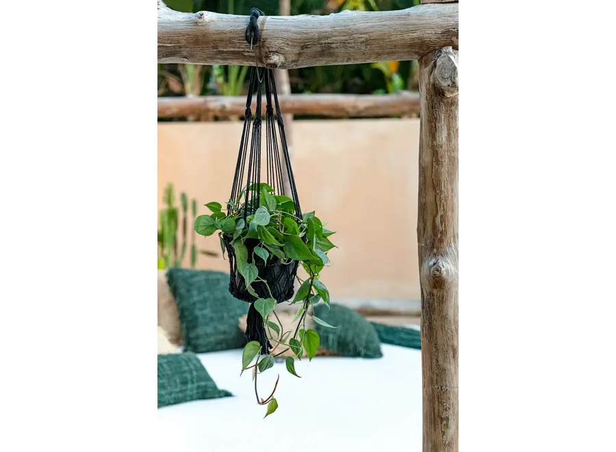 Albufera Hanging Garden - Cotton Macramé Plant Holder