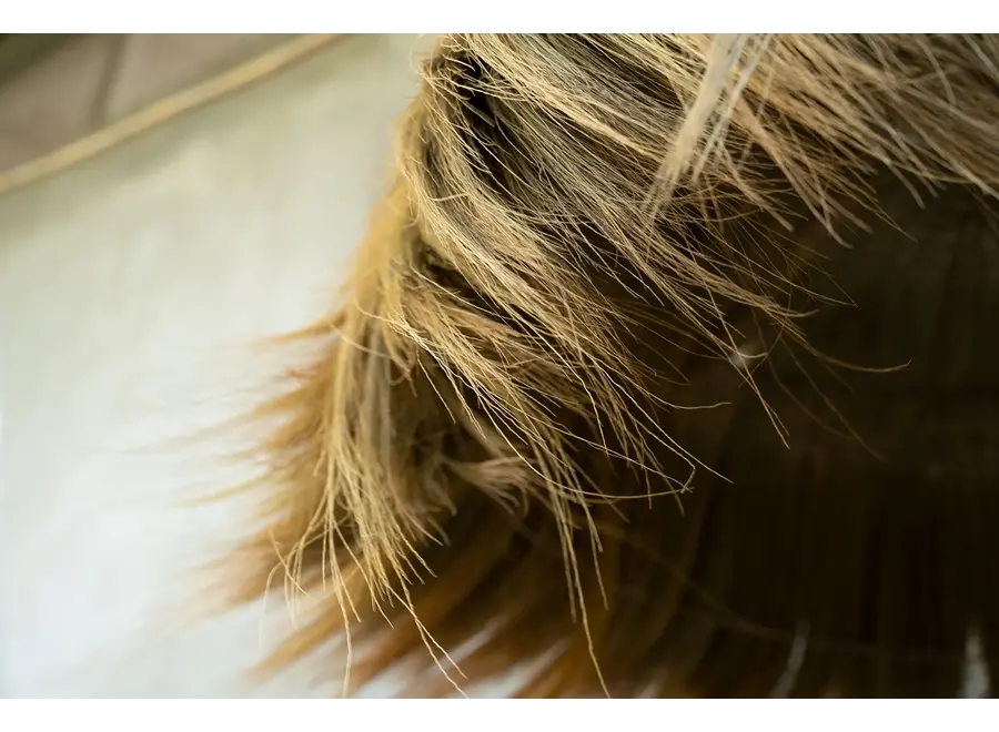 Candeleria Pendant Lamp - Handmade Grass Strand