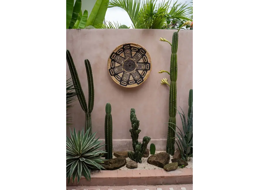 Paterna the maya plate