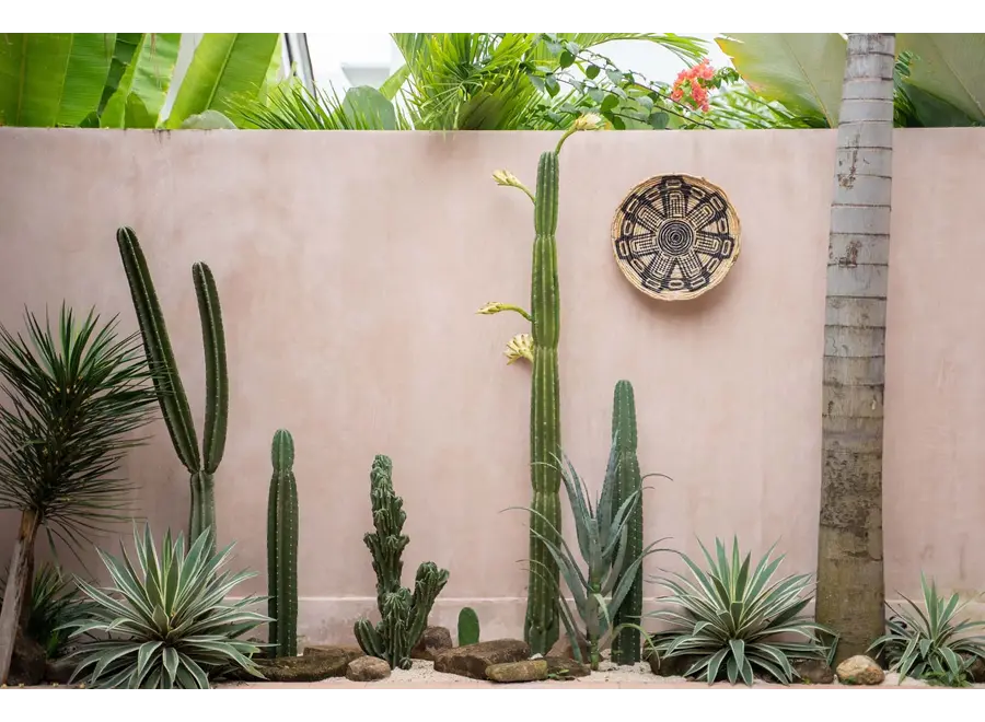 Paterna the maya plate