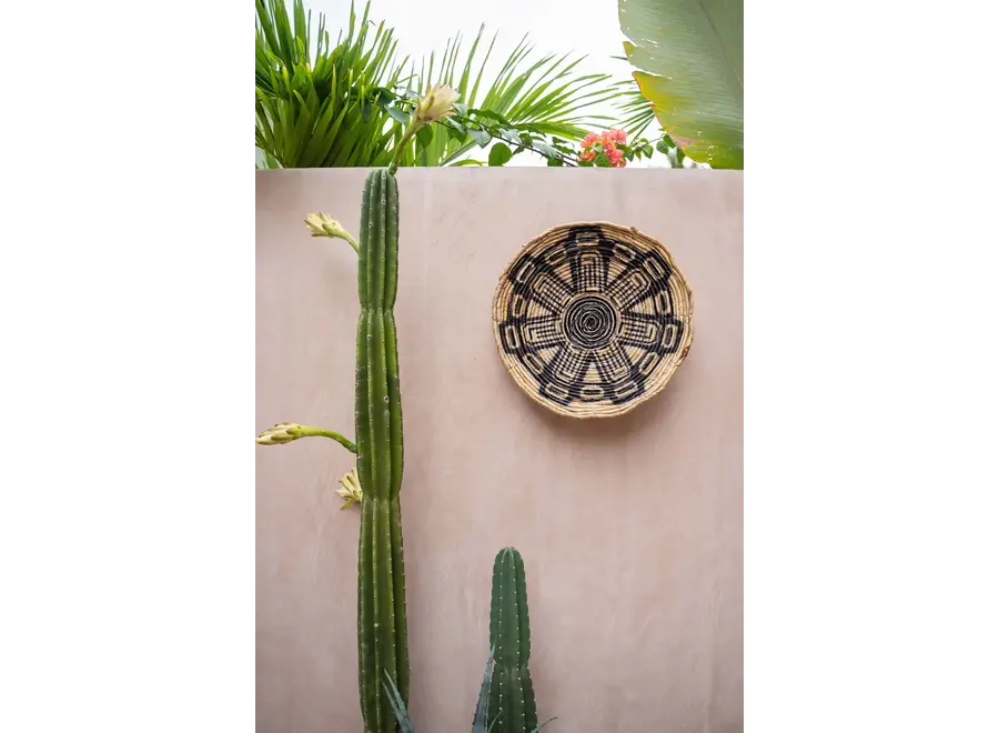 Paterna the maya plate