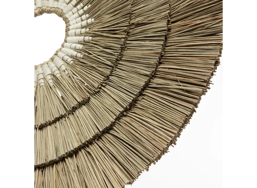 Albufera Coastal Wall Art - Mengdong Grass and White Cotton Wall Art