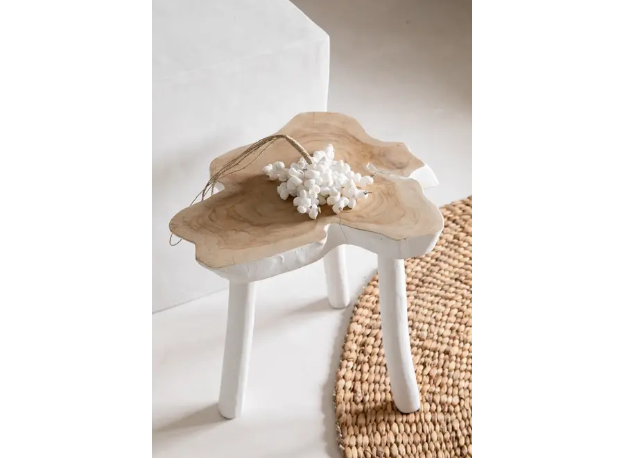 Tabernas Desert Bohemian Table - Organic Shape Side Table