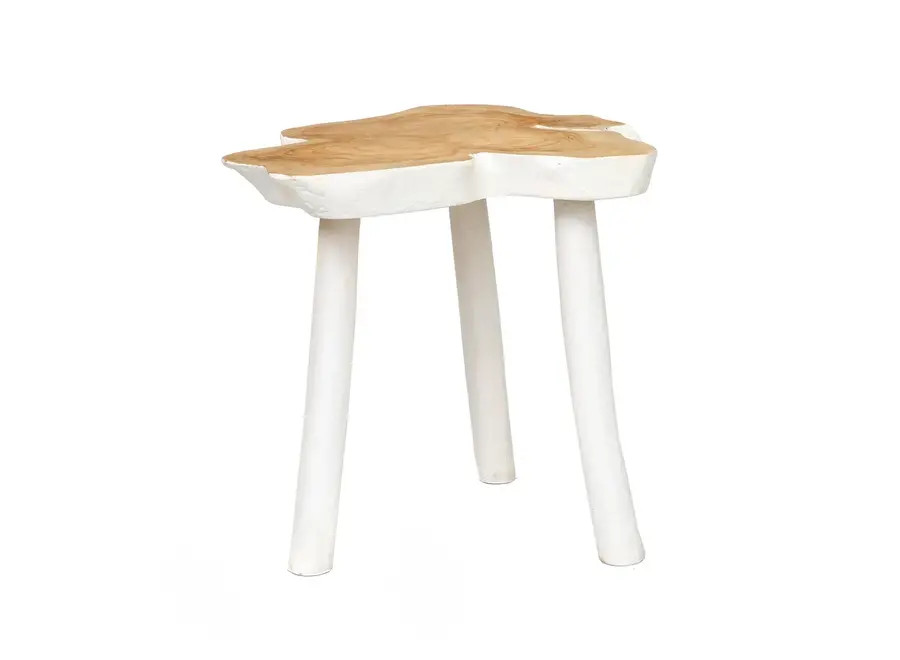 Tabernas Desert Bohemian Table - Organic Shape Side Table