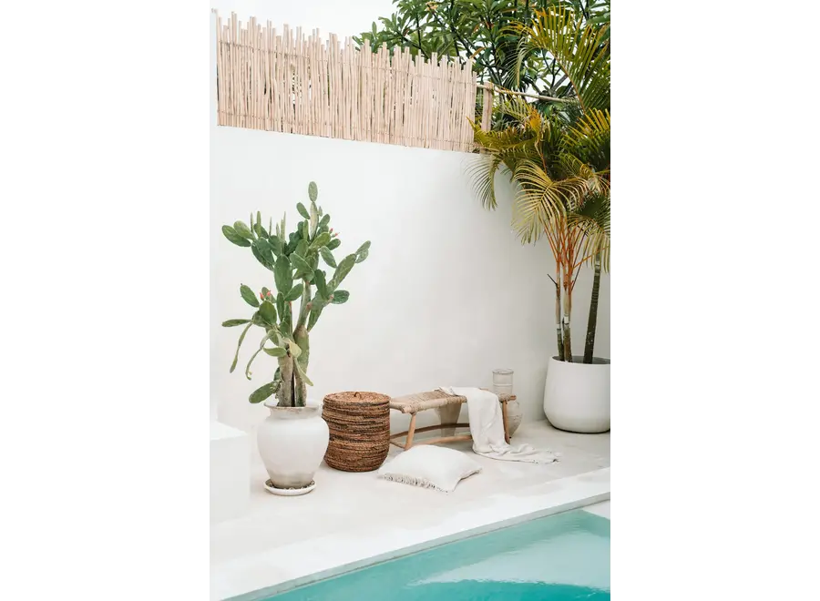 Guadalupe porto seagrass - bench