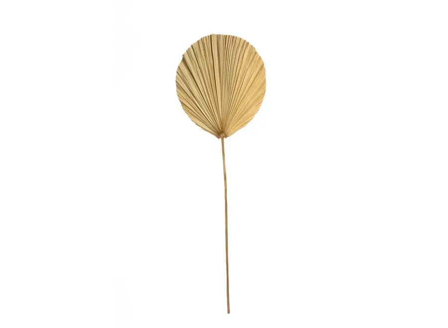 Frigiliana Nature Set - Rattan Decoration Piece