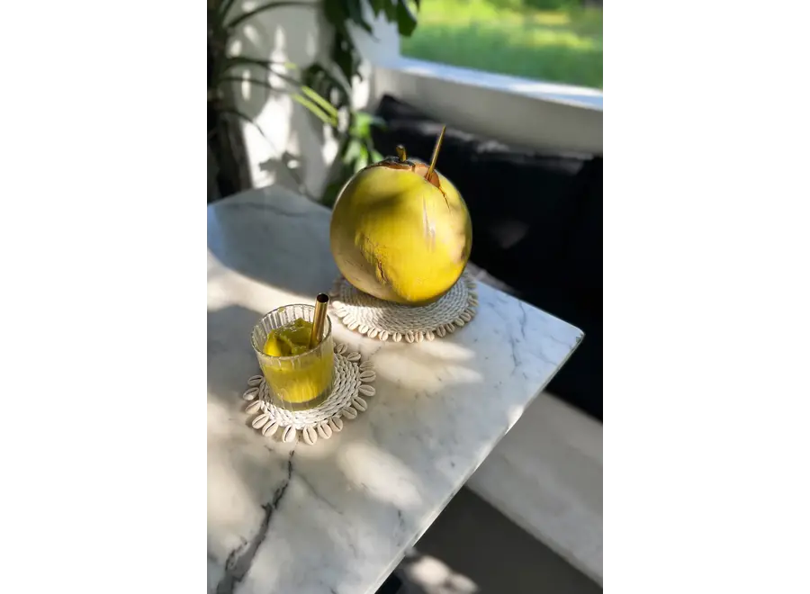 Canary Charm Coaster - Seagrass Shell Coaster