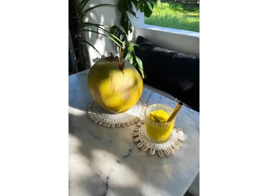 Canary Charm Coaster - Seagrass Shell Coaster