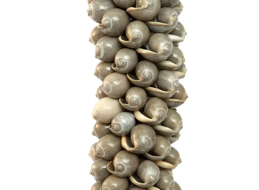 Cabo de Gata Oceanic Charm - Shell Hanger