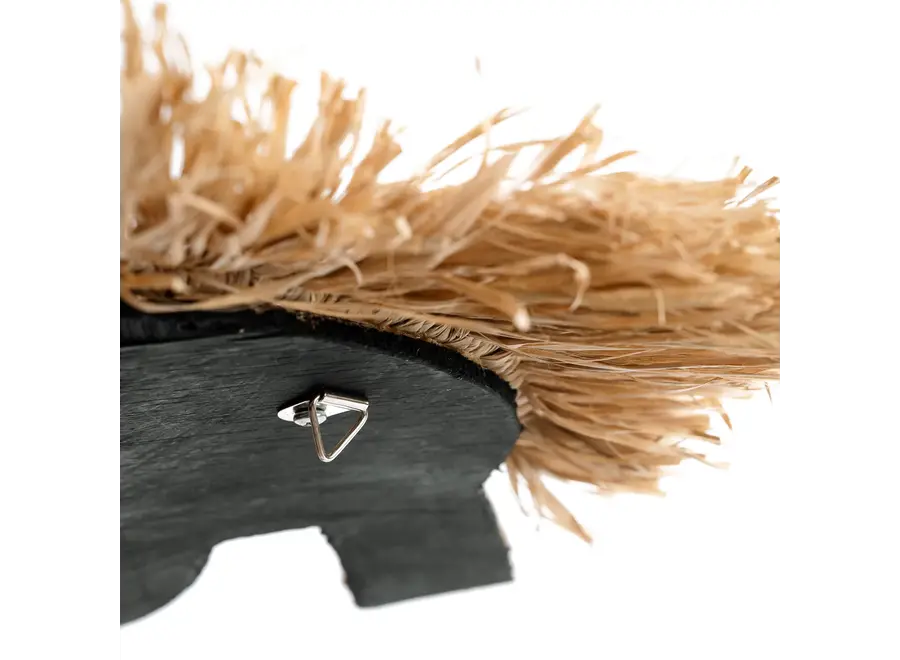 Cies Islands Shell Seahorse - Decorative Accessory