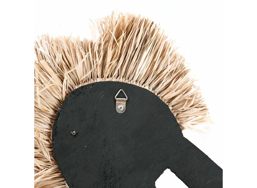 Cies Islands Shell Seahorse - Decorative Accessory