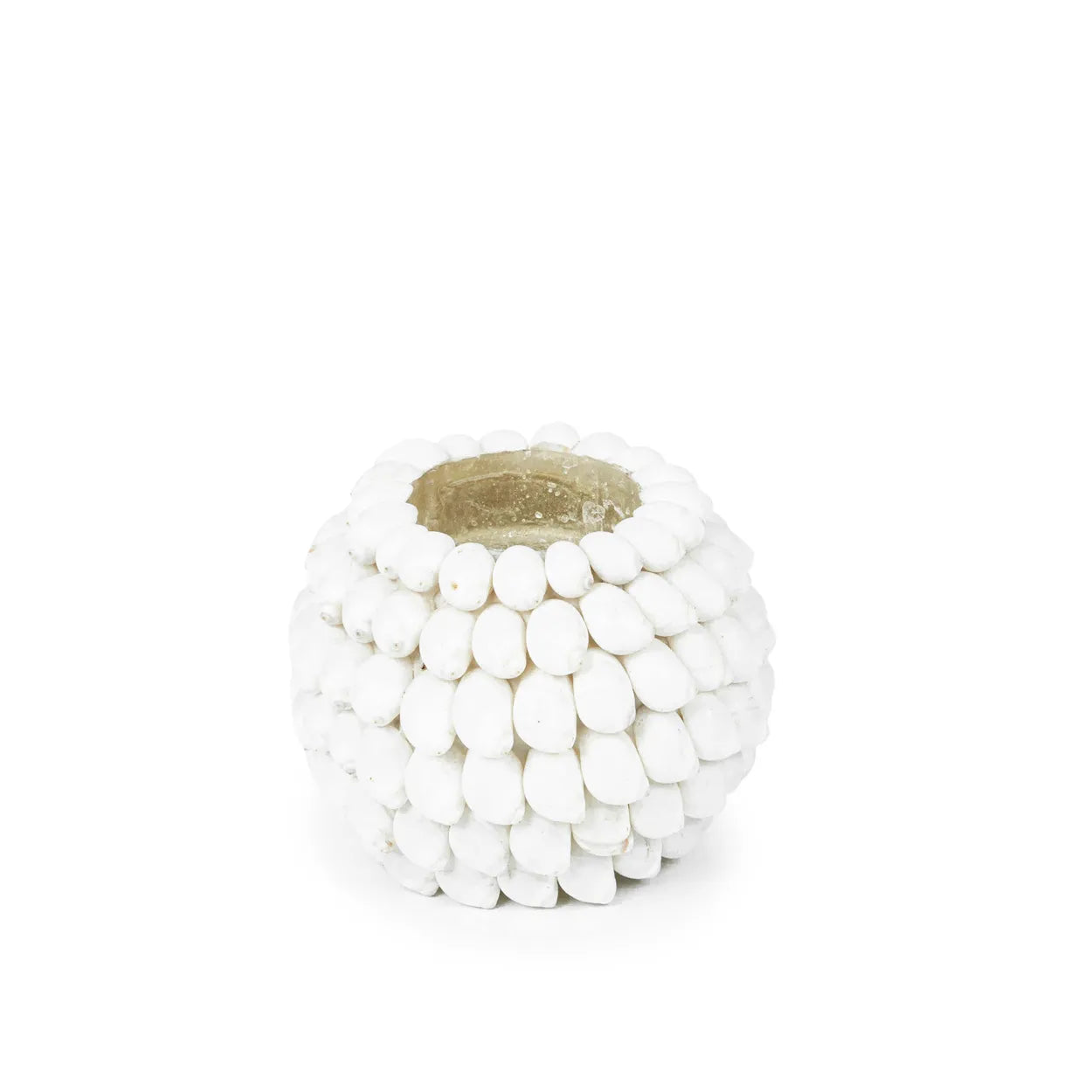 Ayamonte Seashell Luminary - Coastal Tealight Holder