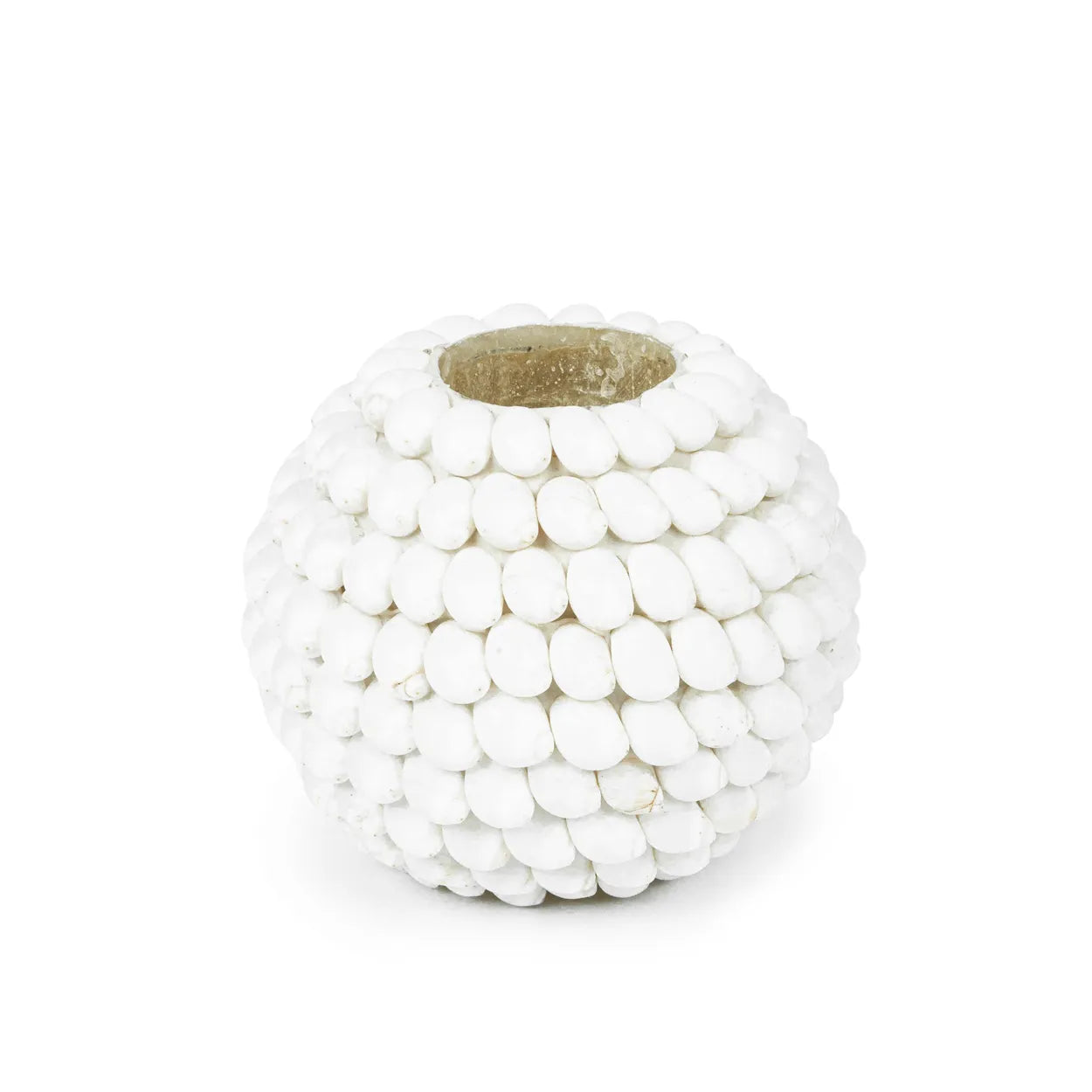 Ayamonte Seashell Luminary - Coastal Tealight Holder