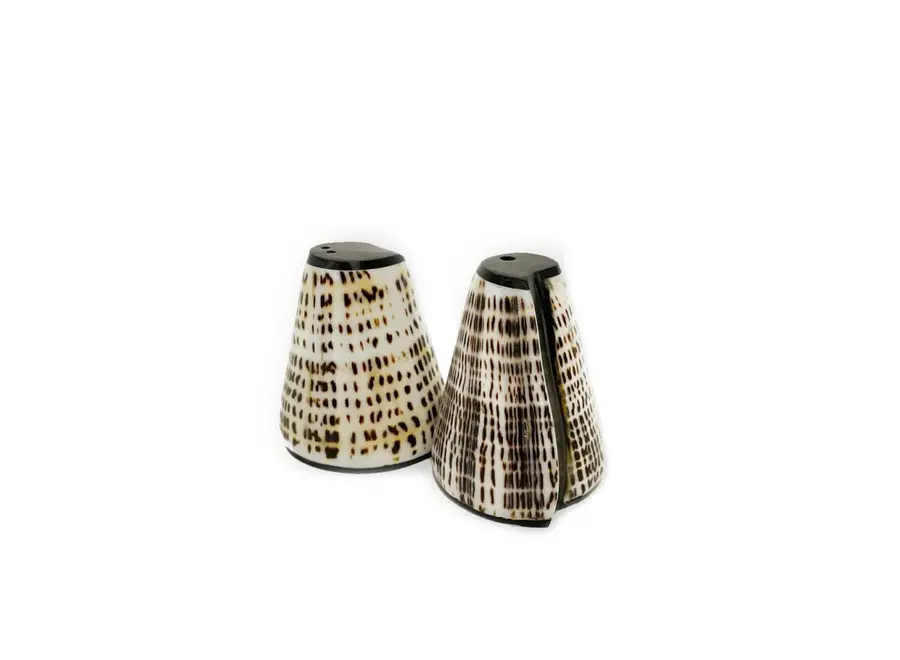 Cazorla Shell Topper Salt and Pepper Set - Handcrafted Dining Accessory