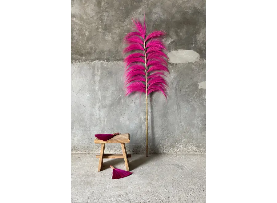Cazorla Boho Hand Sweeper - Grass Broom