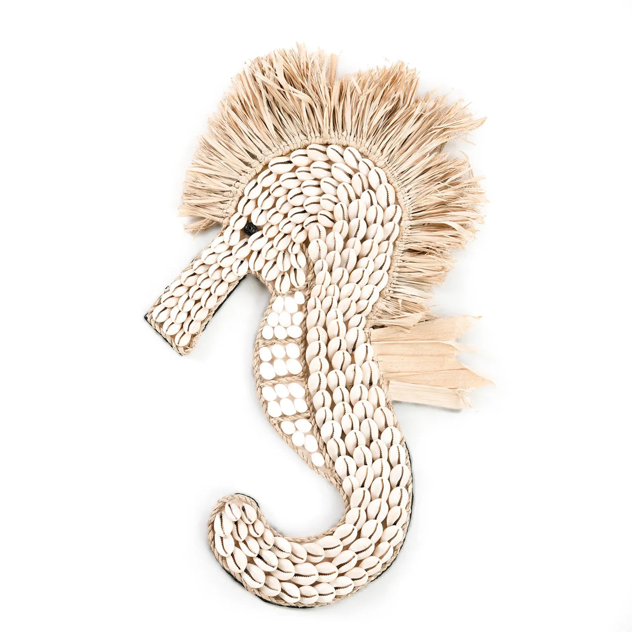 Cies Islands Shell Seahorse - Decorative Accessory