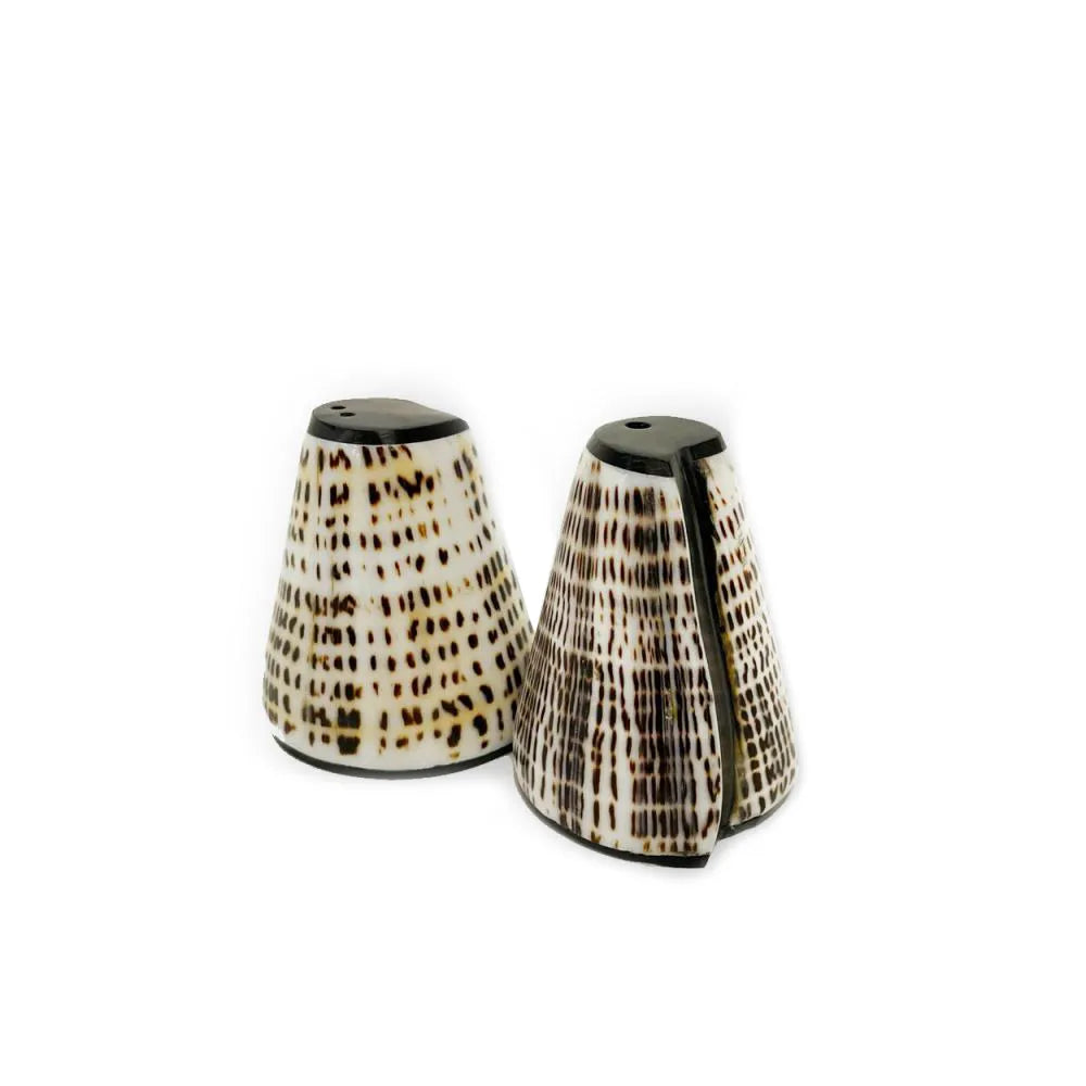 Cazorla Shell Topper Salt and Pepper Set - Handcrafted Dining Accessory